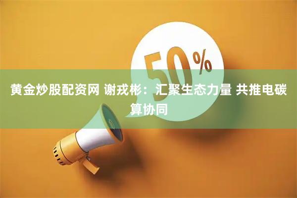 黄金炒股配资网 谢戎彬:汇聚生态力量 共推电碳算协同