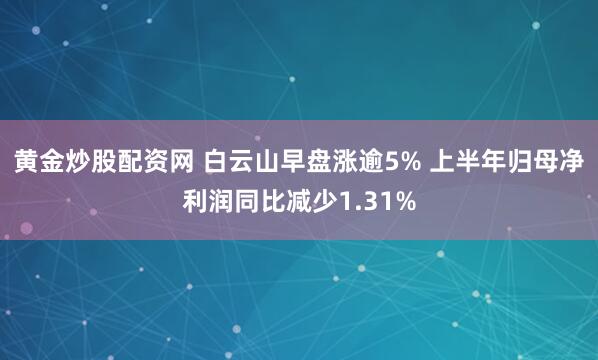 黄金炒股配资网 白云山早盘涨逾5% 上半年归母净利润同比减少1.31%