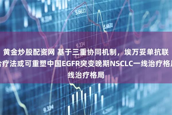 黄金炒股配资网 基于三重协同机制，埃万妥单抗联合疗法或可重塑中国EGFR突变晚期NSCLC一线治疗格局