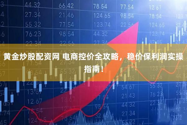 黄金炒股配资网 电商控价全攻略，稳价保利润实操指南！
